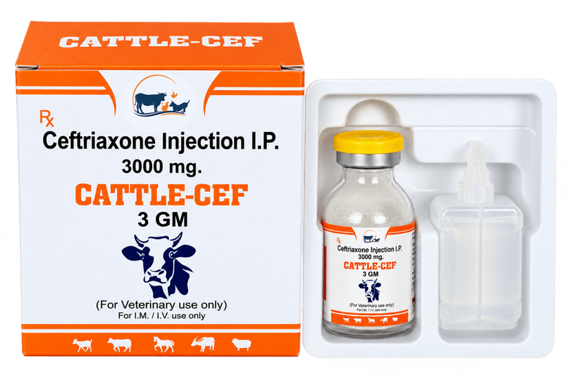 CATTLE-CEF 3G Injection