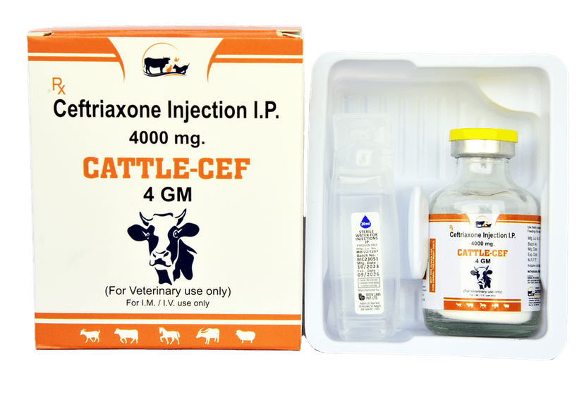 CATTLE-CEF 4G Injection