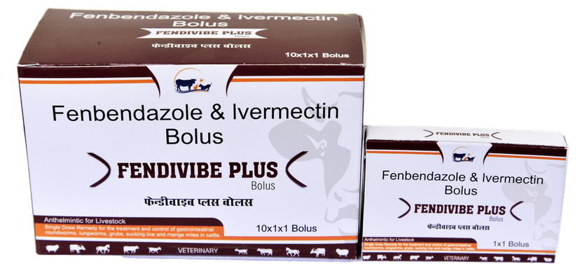 FENDIVIBE PLUS