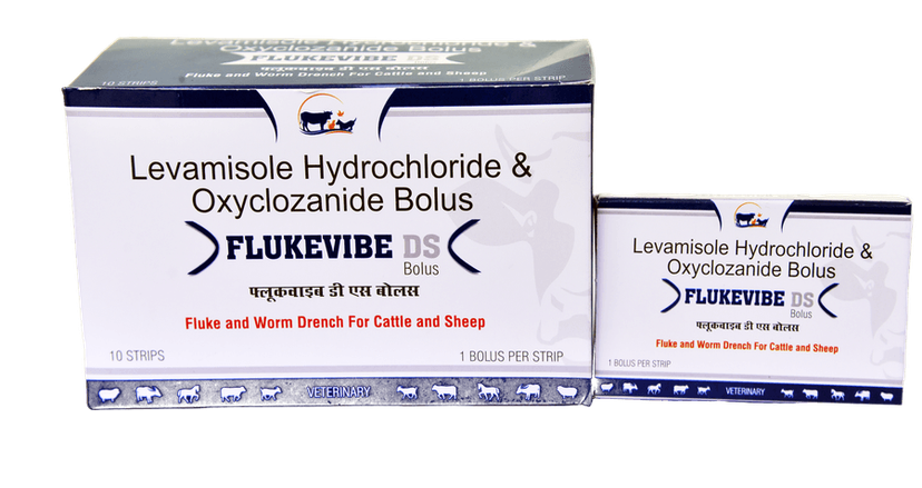FLUKEVIBE DS